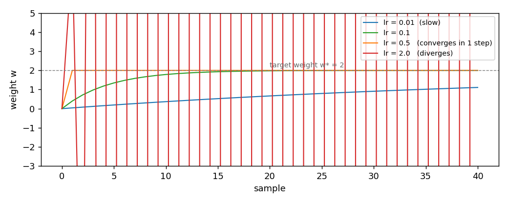 Trajectory of the weight for four learning rates