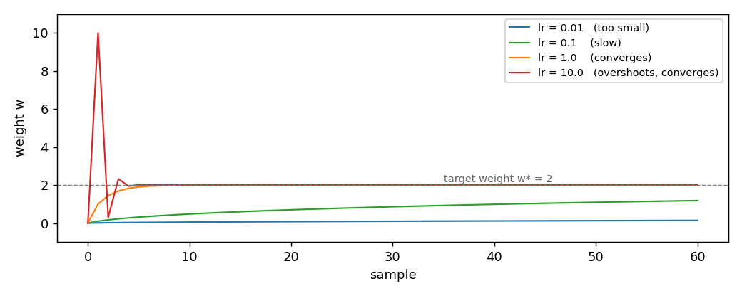 Trajectory of the weight for four learning rates