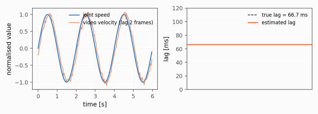 Joint speed and video velocity in time, with the true and the estimated lag.