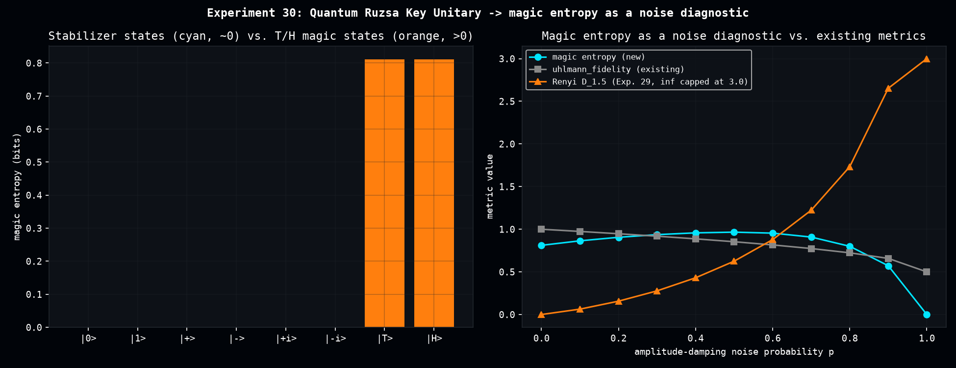 Magic entropy: stabilizer vs. magic states, and as a noise diagnostic